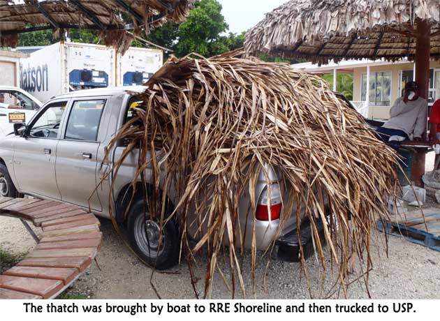 Thatch brout to RRE shoreline